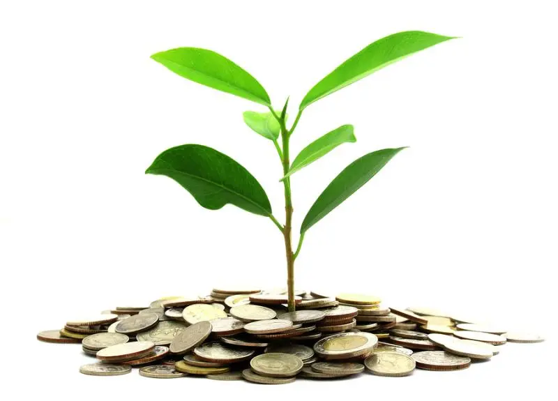 Инвестиции SKF в сохранение экологии | Свежие новости в Пензе