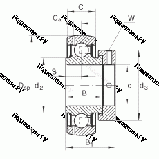 Подшипник GRAE 45-NPP-B в Пензе